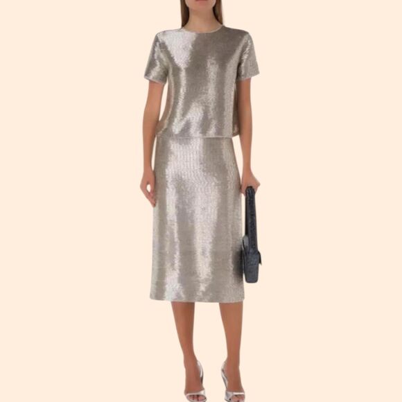 STAUD Dresses & Skirts - STAUD Bead Embellished Silver Skirt Set